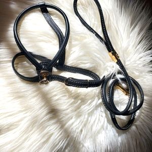 Cinolpelca Italian Leather Dog Harness & lead
